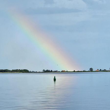 Welkom In Mijn Studio Bij Het Snekermeer ! Offingawier エクステリア 写真